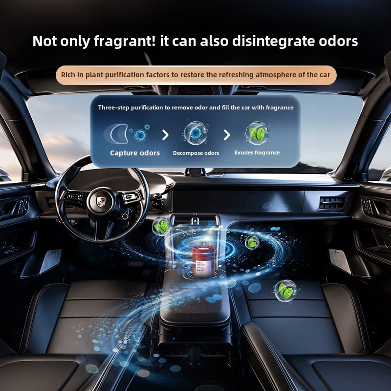 Profumatore per Auto in Gel, F - Gel Air Freshener recensione e prezzo