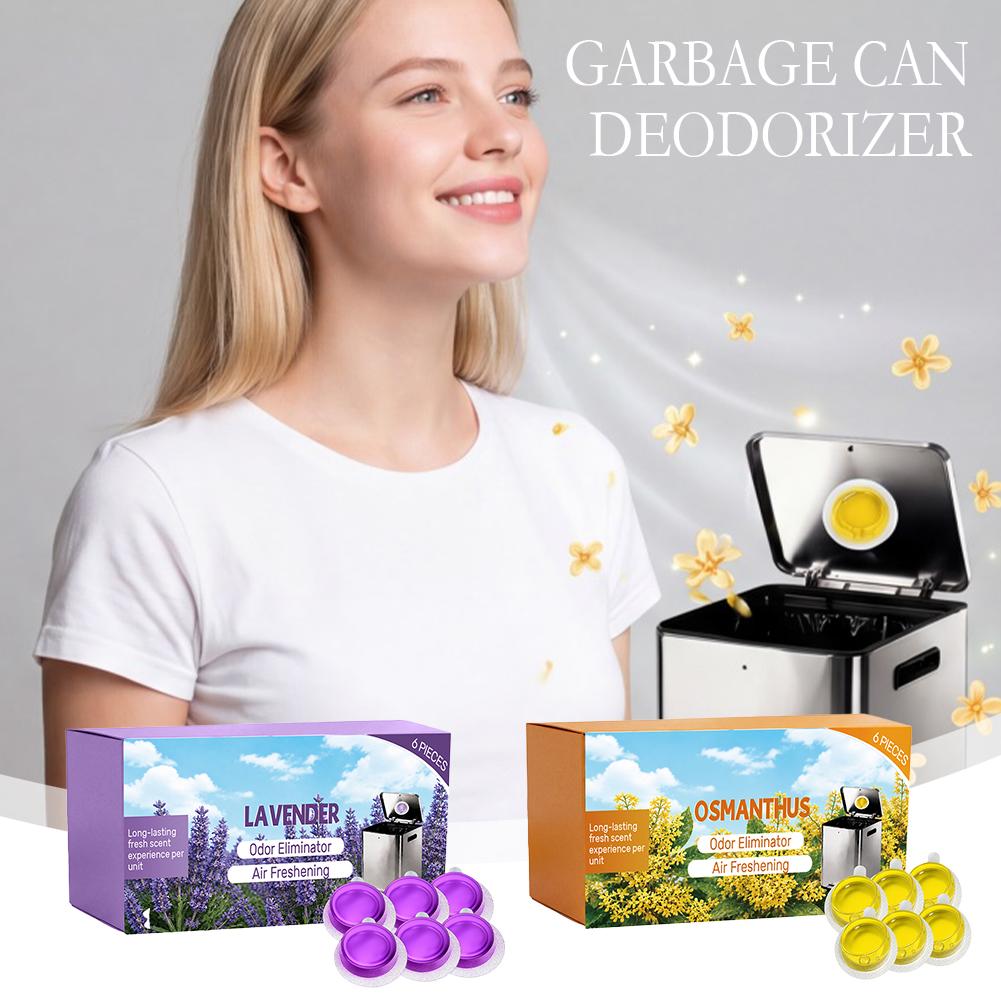 6 Confezioni di Deodorante per - Gel Air Freshener recensione e prezzo